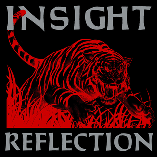 Insight - reflection