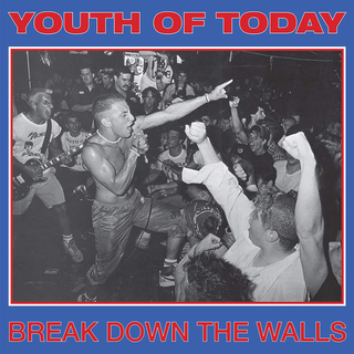 Youth Of Today - Break Down The Walls eco hot pink LP